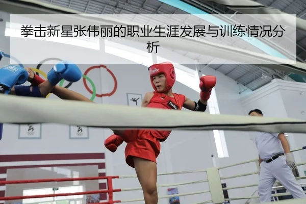 拳击新星张伟丽的职业生涯发展与训练情况分析